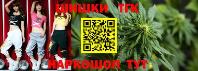 шишки Гудермес