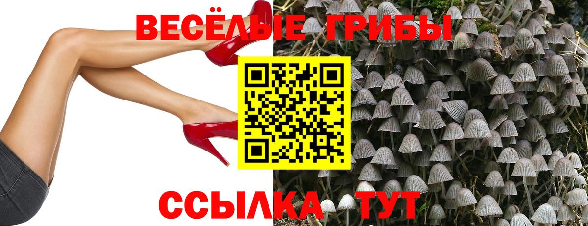 Галлюциногенные грибы прущие грибы Искитим