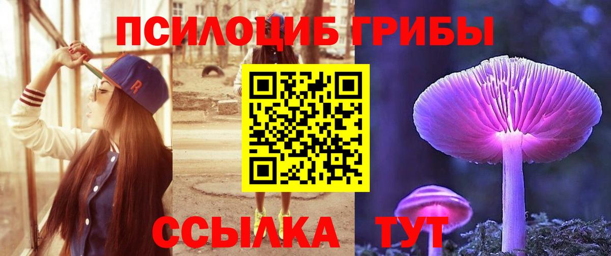 Искитим  Галлюциногенные грибы Psilocybine cubensis  Вход с VPN 